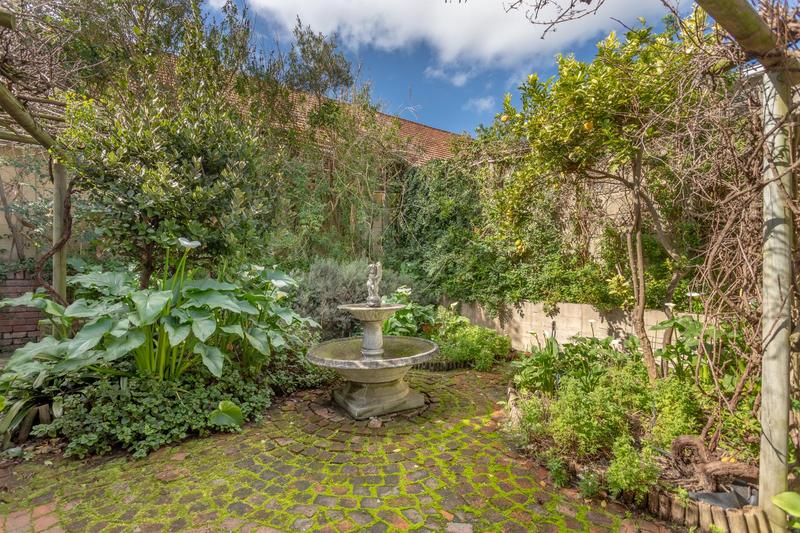 To Let 4 Bedroom Property for Rent in Rondebosch Western Cape